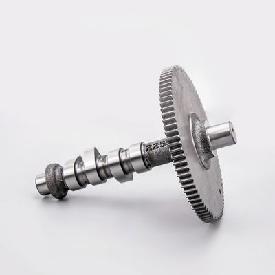 OEM Gusseisen-Camshaft für Benzinmotoren