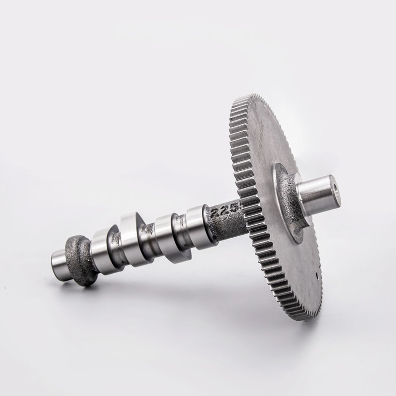 OEM Gusseisen-Camshaft für Benzinmotoren