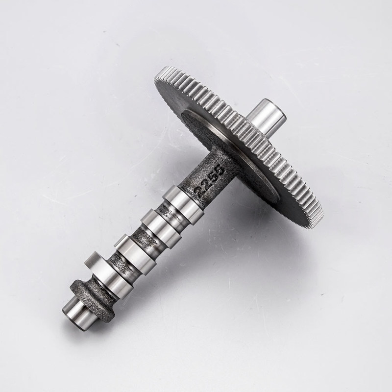 OEM Gusseisen-Camshaft für Benzinmotoren